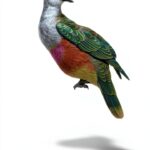 OReilly C Programming Book Digital Edition English Language-0