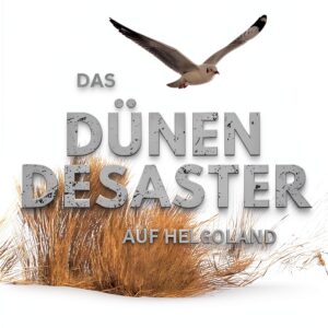 Ein Fall Helgoland Kindle Kripo Thriller-0